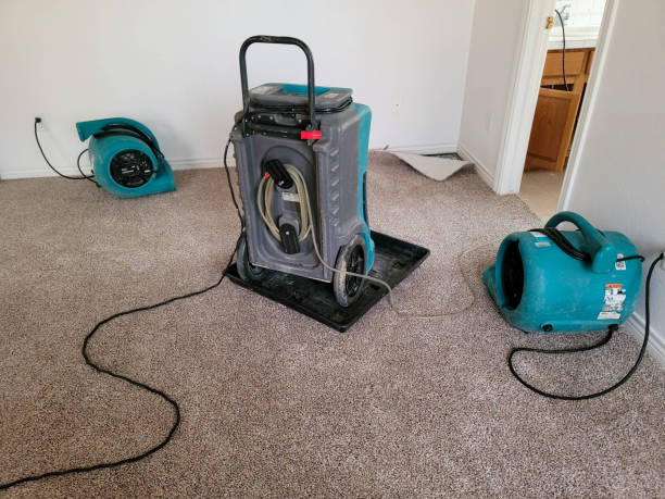 Best Ceiling water damage repair  in Marillo, CA