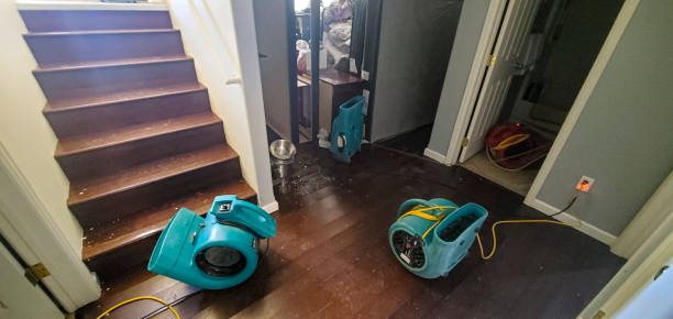Best Fire Damage Restoration  in Marillo, CA