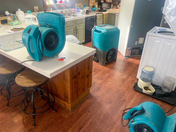 Best 24/7 water damage repair  in Marillo, CA