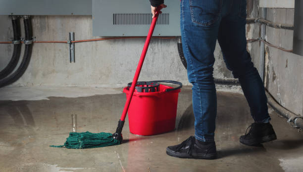 Best Water damage restoration company  in Marillo, CA