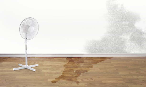 Best Local water damage restoration  in Marillo, CA