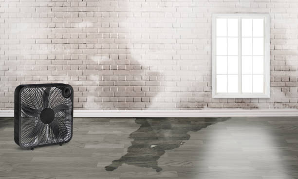 Best Ceiling water damage repair  in Marillo, CA