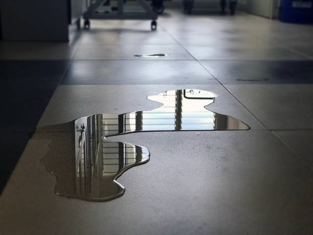 Best Water damage contractors near me  in Marillo, CA