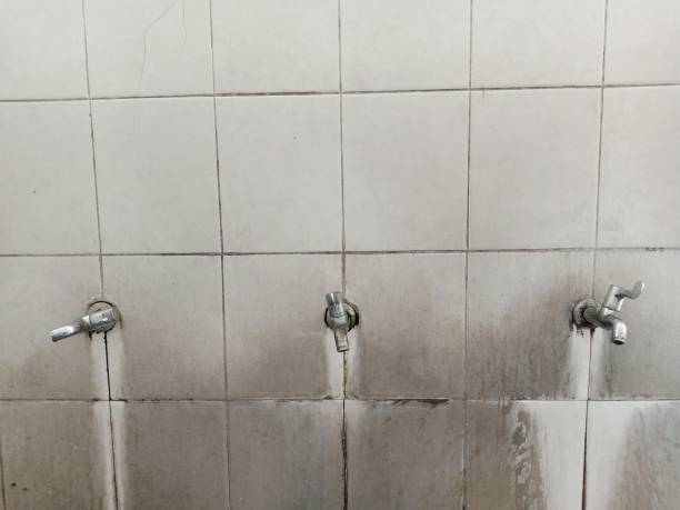 Best Residential water damage restoration  in Marillo, CA