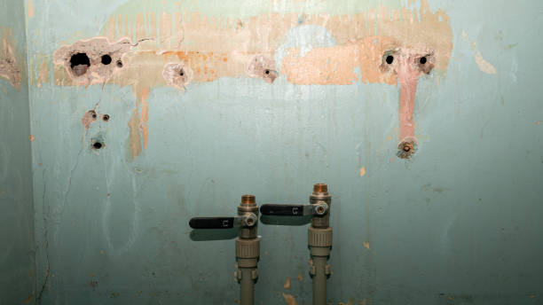 Best Flood damage cleanup  in Marillo, CA