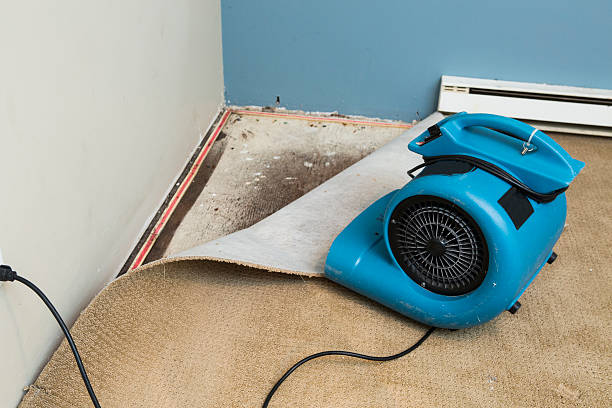 Best Water damage restoration insurance claims  in Marillo, CA